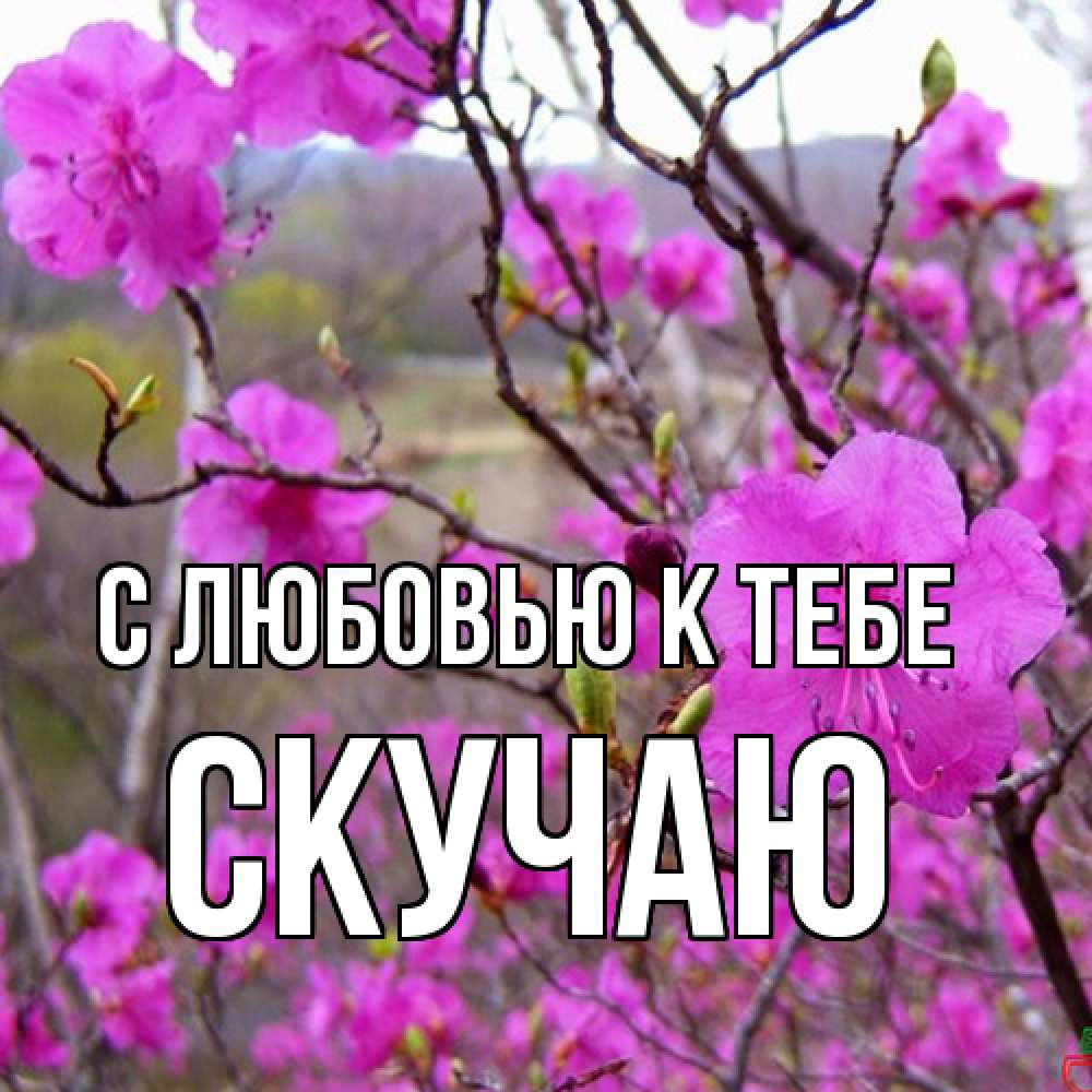 Открытка  с именем. Скучаю, С любовью к тебе  