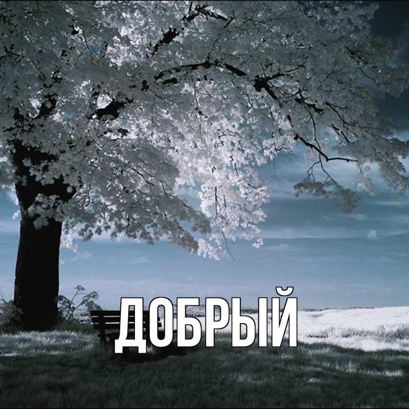 Картинка  с именем , Добрый