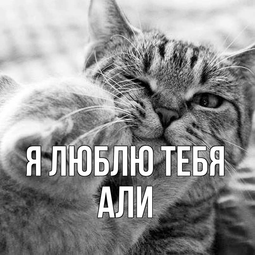 Открытка  с именем. Али, Я люблю тебя  