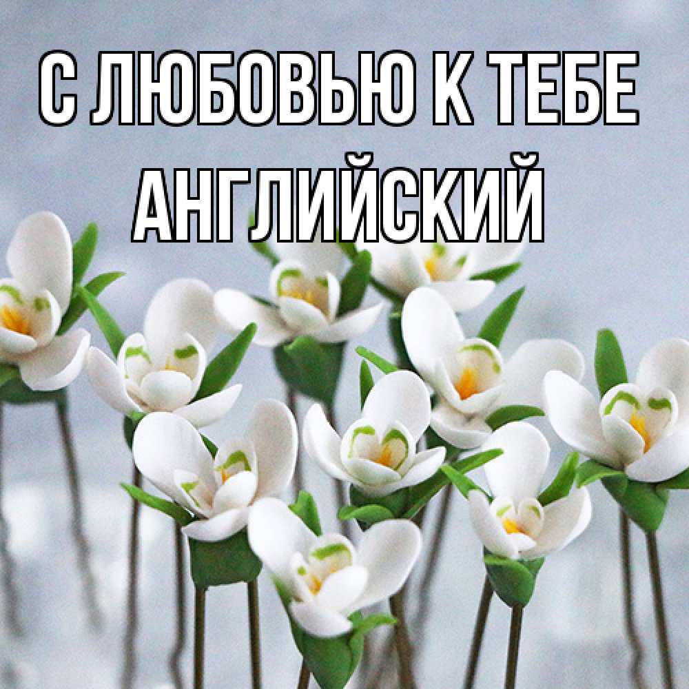 Открытка  с именем. Английский, С любовью к тебе  
