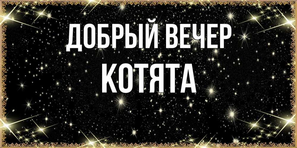 Открытка  с именем. Котята, Добрый вечер  