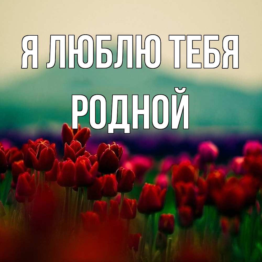 Открытка  с именем. Родной, Я люблю тебя  