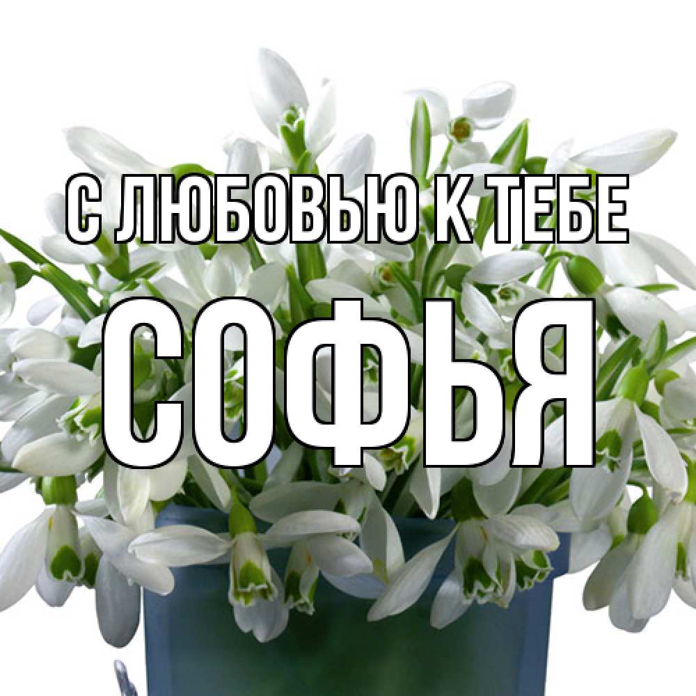 Открытка  с именем. Софья, С любовью к тебе  