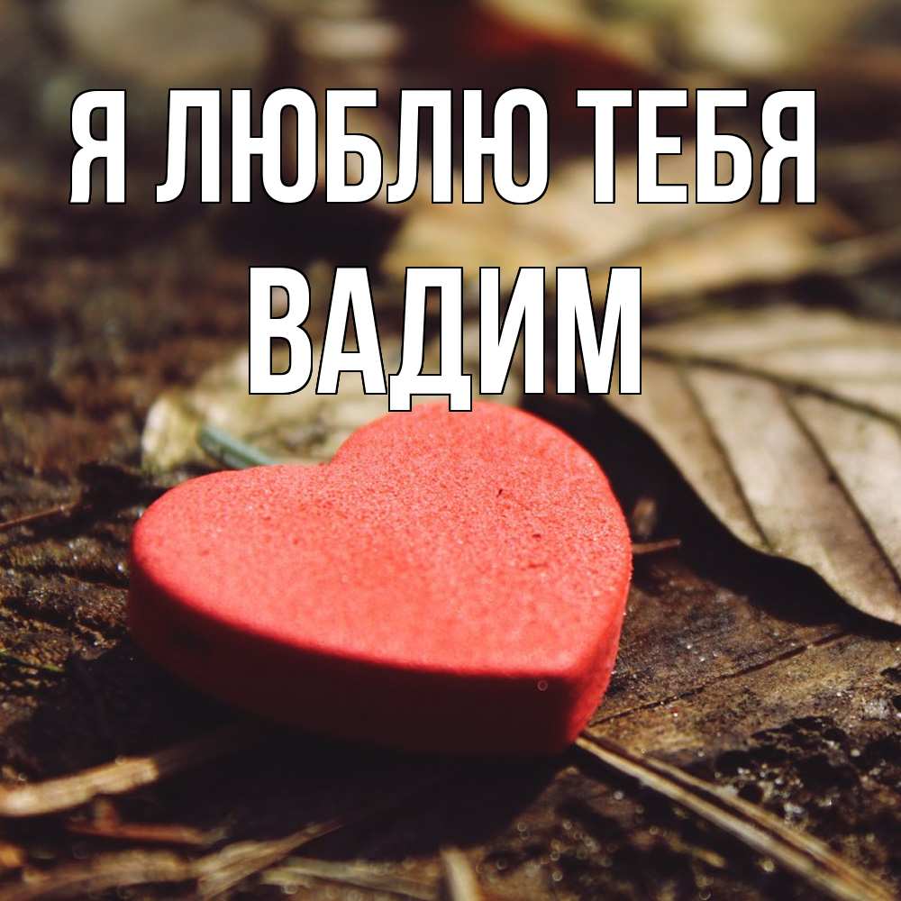 Открытка  с именем. Вадим, Я люблю тебя  
