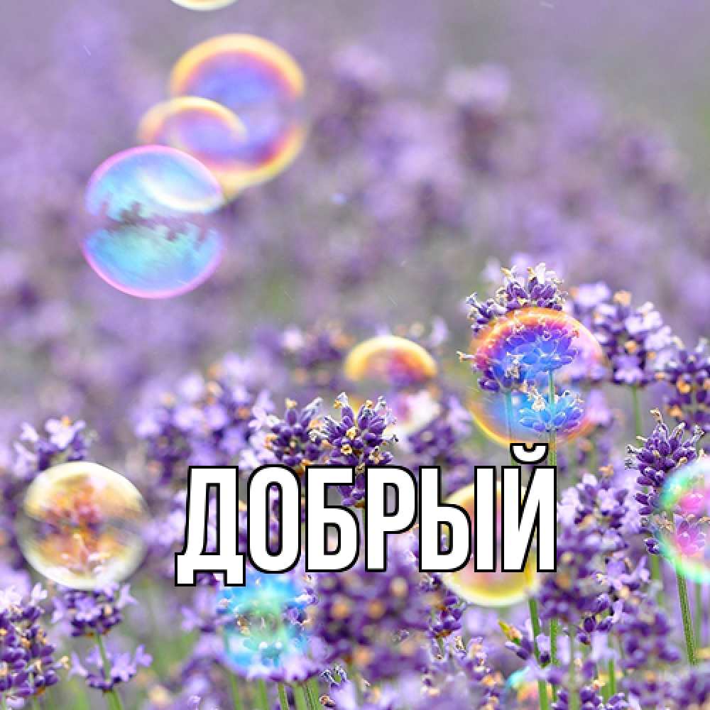 Открытка  с именем. Добрый, Главная  
