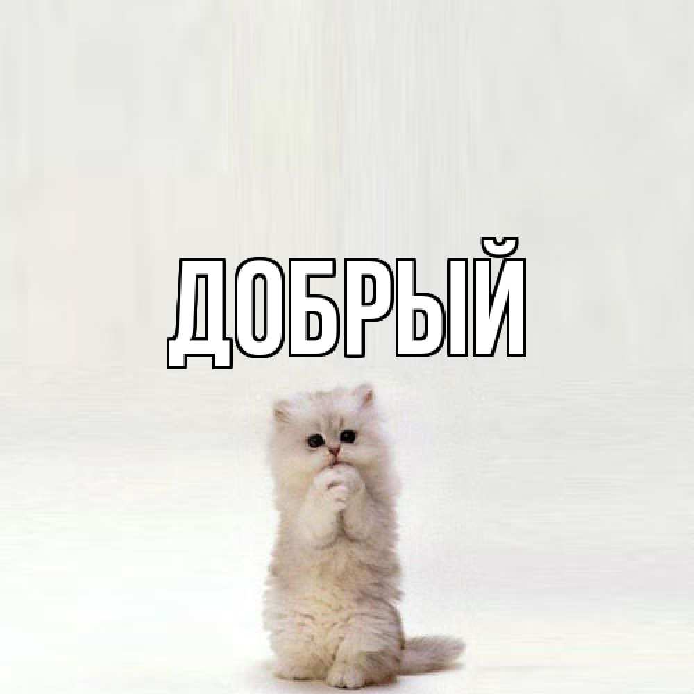 Открытка  с именем. Добрый, Главная  