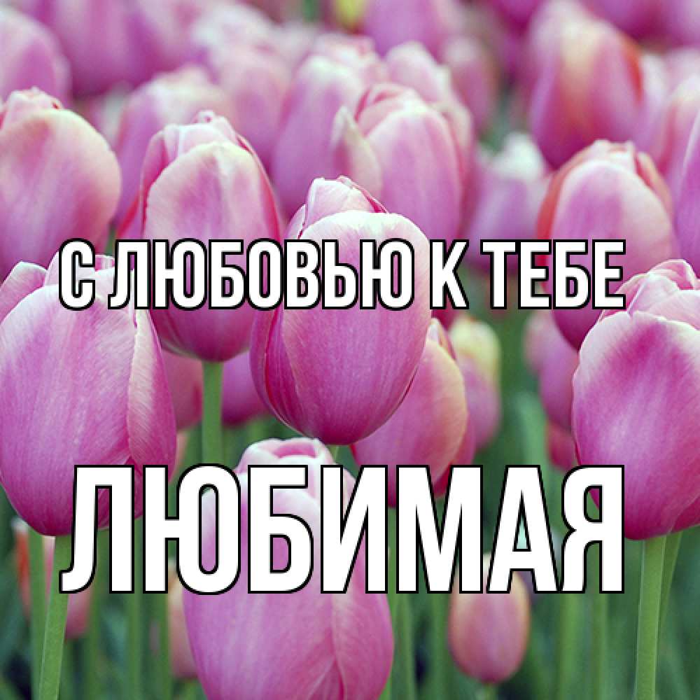 Открытка  с именем. Любимая, С любовью к тебе  