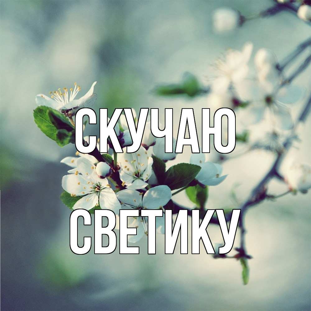 Открытка  с именем. Светику, Скучаю  