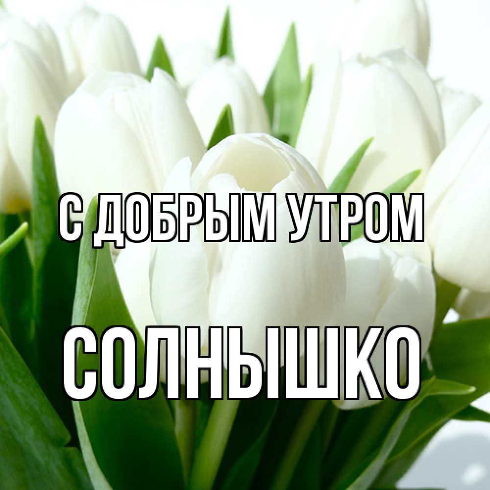 Открытка  с именем. Солнышко, С добрым утром  