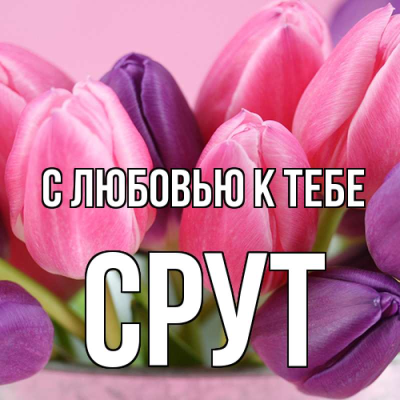 Картинка С любовью к тебе, срут