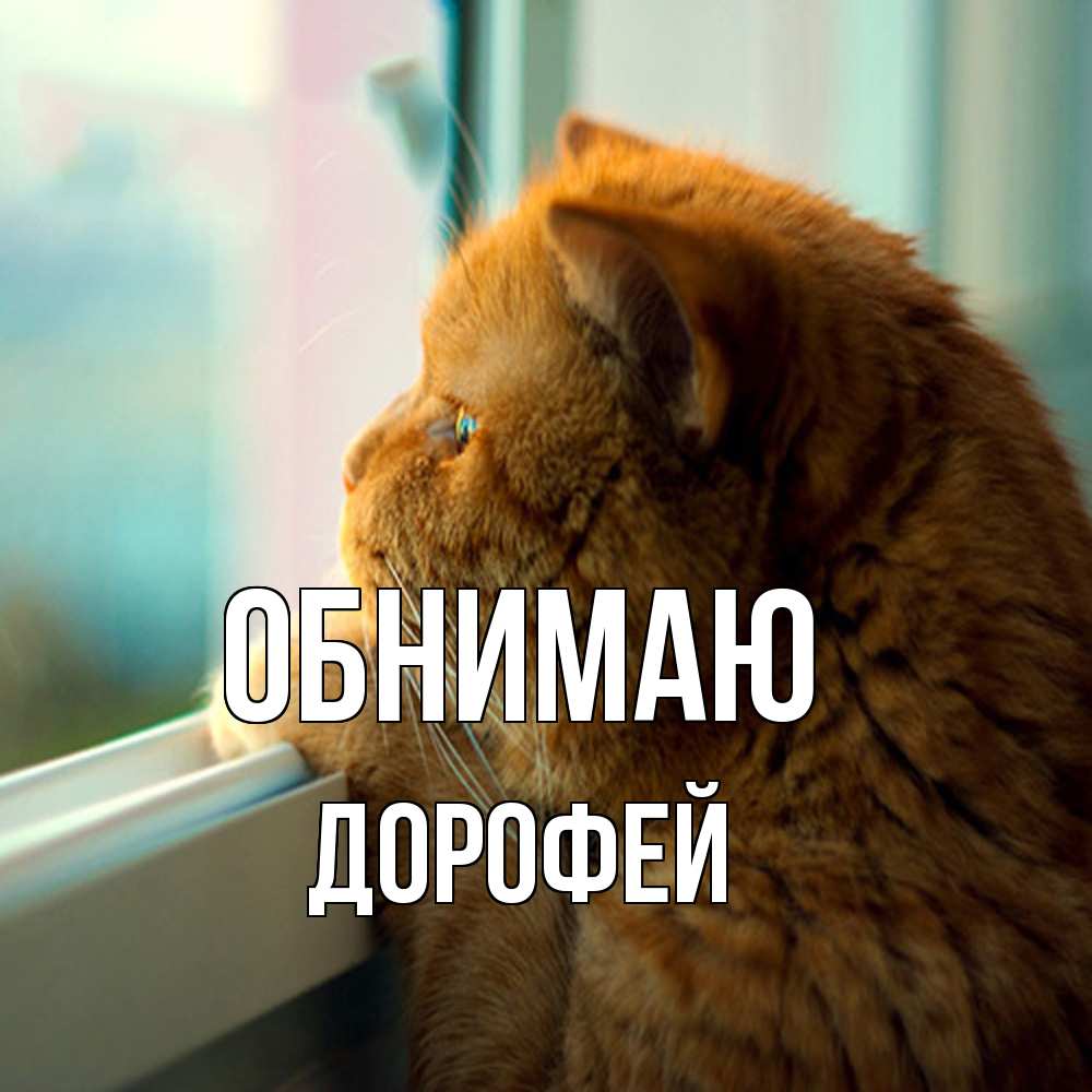 Открытка  с именем. Дорофей, Обнимаю  