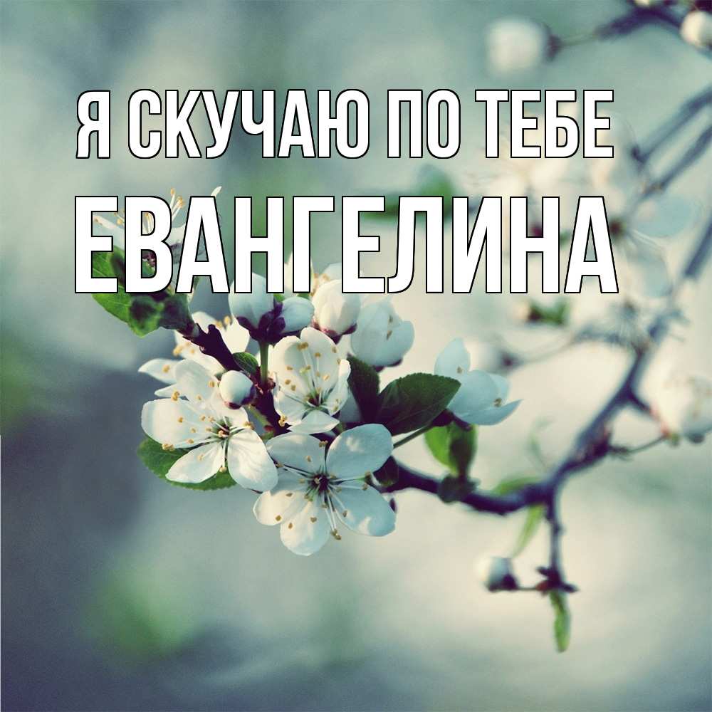 Открытка  с именем. Евангелина, Я скучаю по тебе  