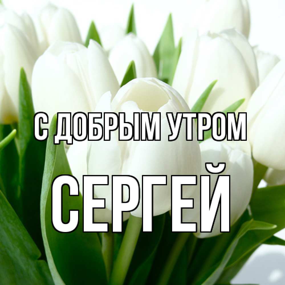Открытка  с именем. Сергей, С добрым утром  