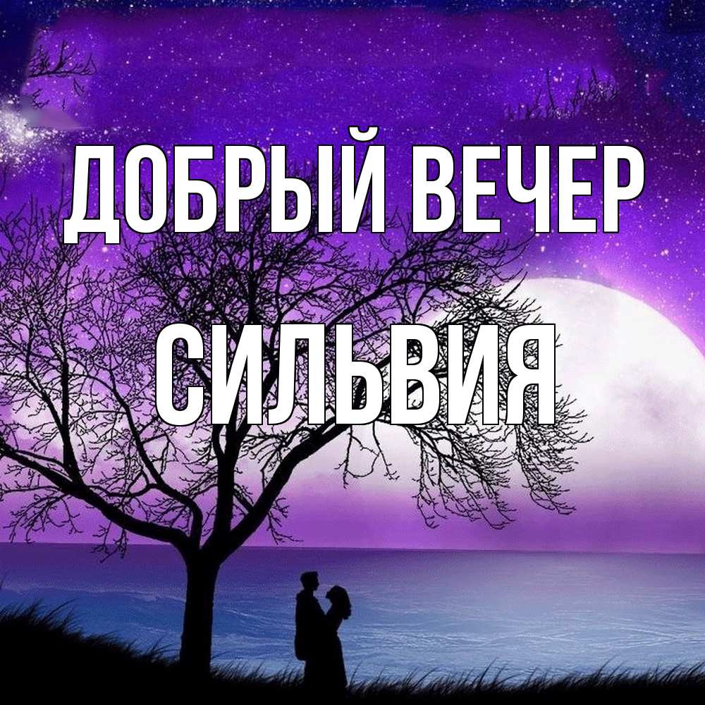 Открытка  с именем. Сильвия, Добрый вечер  