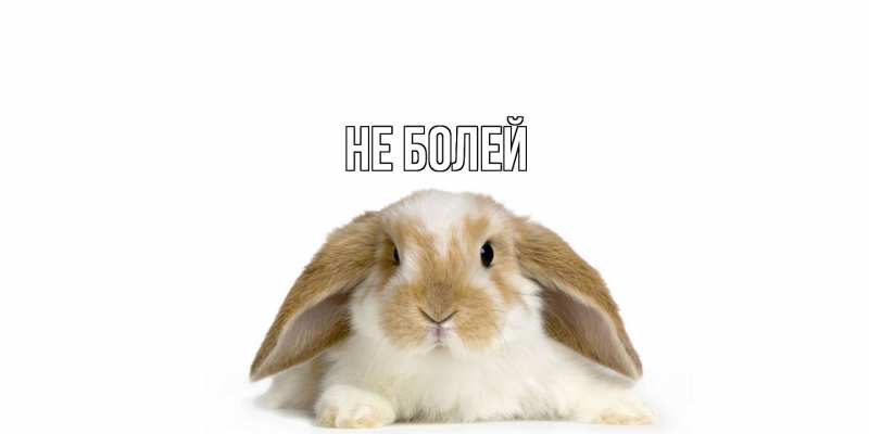 Картинка Не болей, 