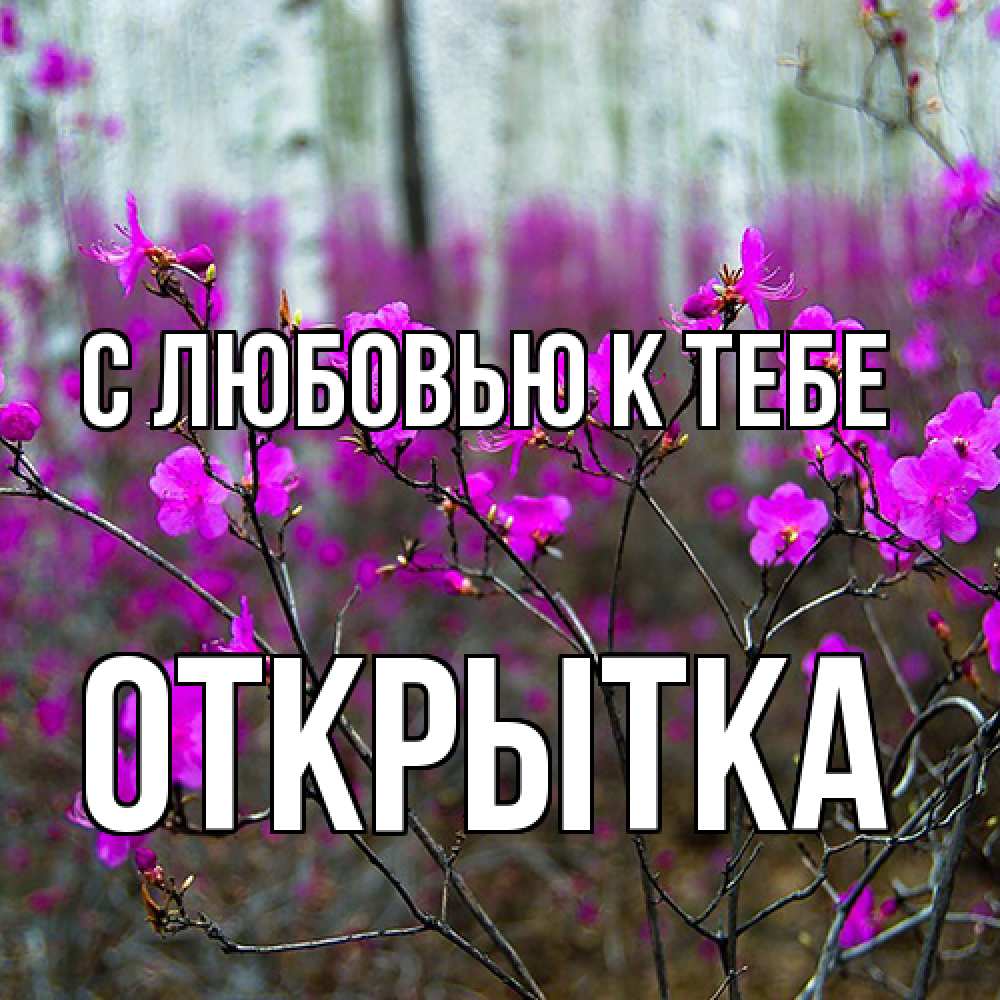 Открытка  с именем. открытка, С любовью к тебе  