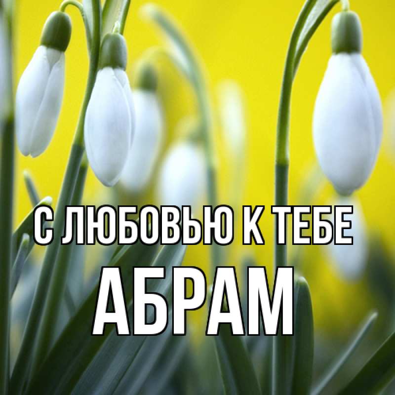 Картинка С любовью к тебе, Абрам