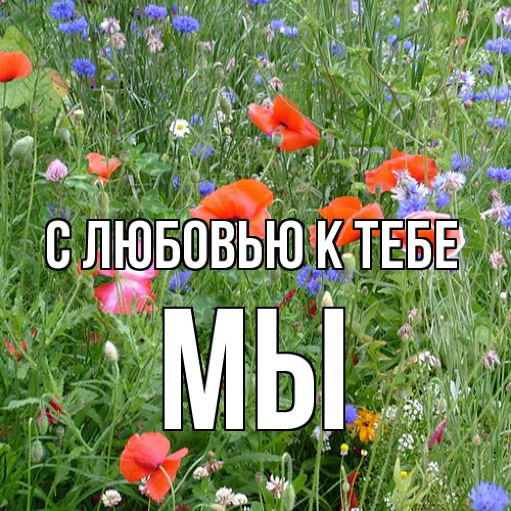 Открытка  с именем. Мы, С любовью к тебе  