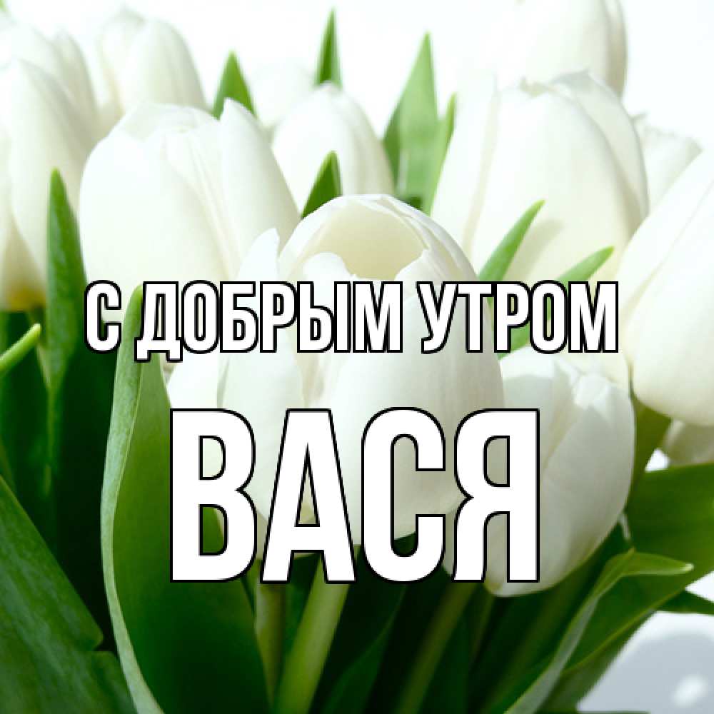 Картинки С Именем Вася