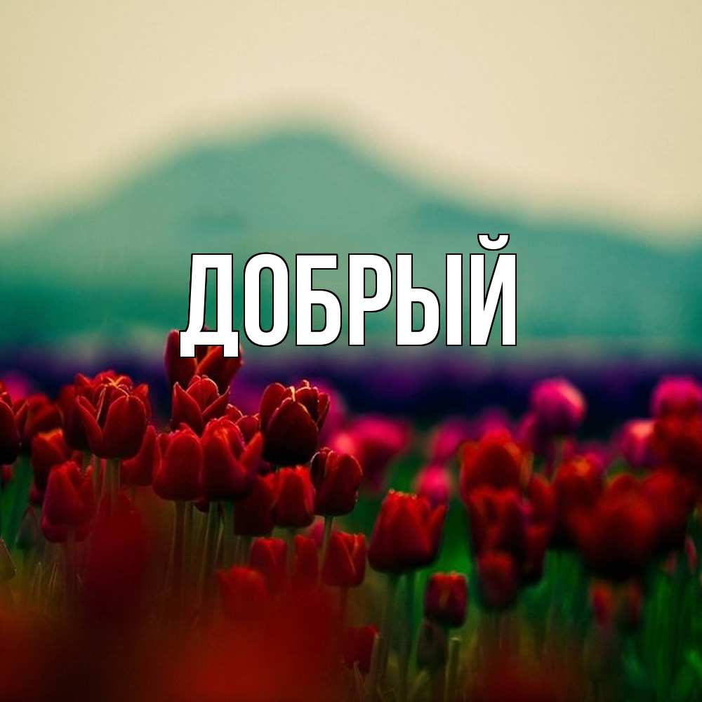 Открытка  с именем. Добрый, Главная  