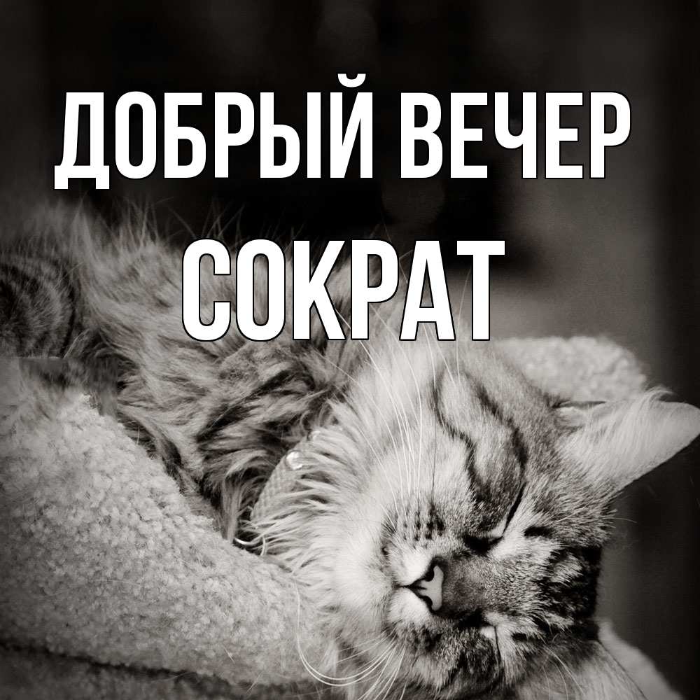 Открытка  с именем. Сократ, Добрый вечер  