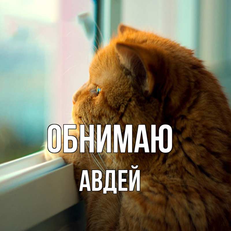 Картинка Обнимаю, Авдей