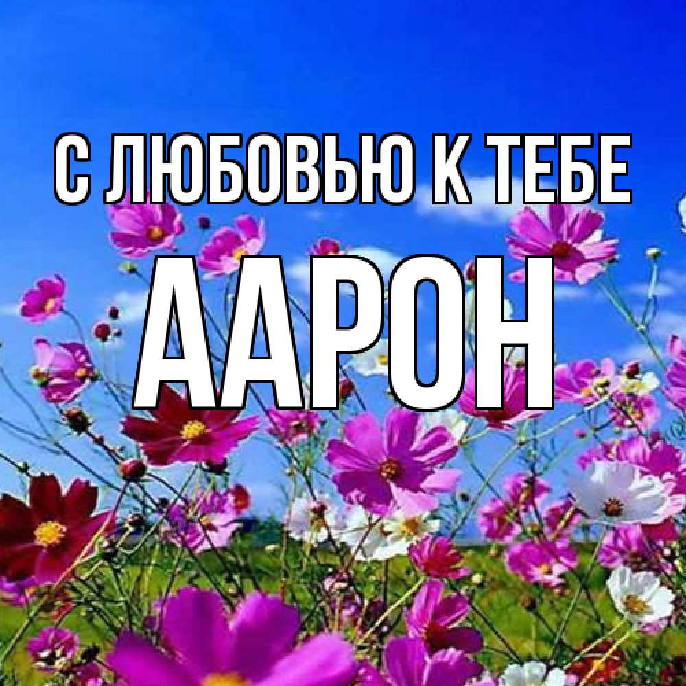 Открытка  с именем. Аарон, С любовью к тебе  