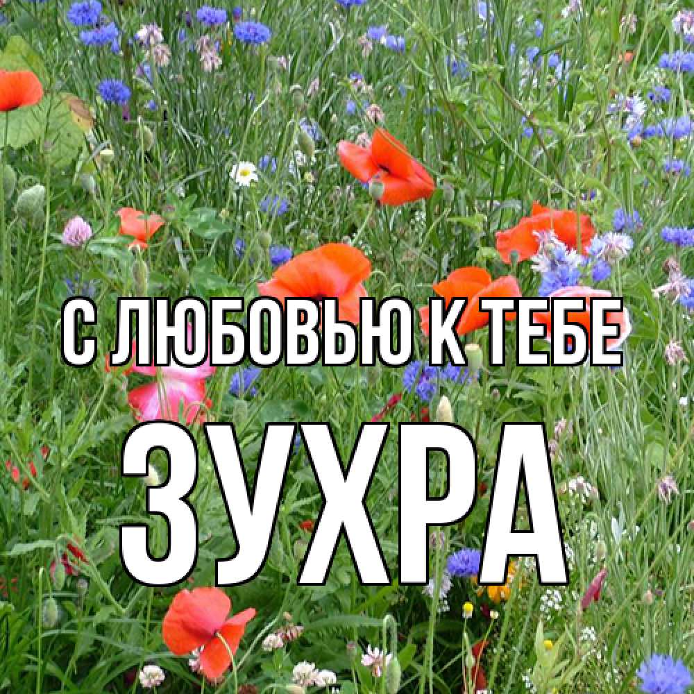 Открытка  с именем. Зухра, С любовью к тебе  