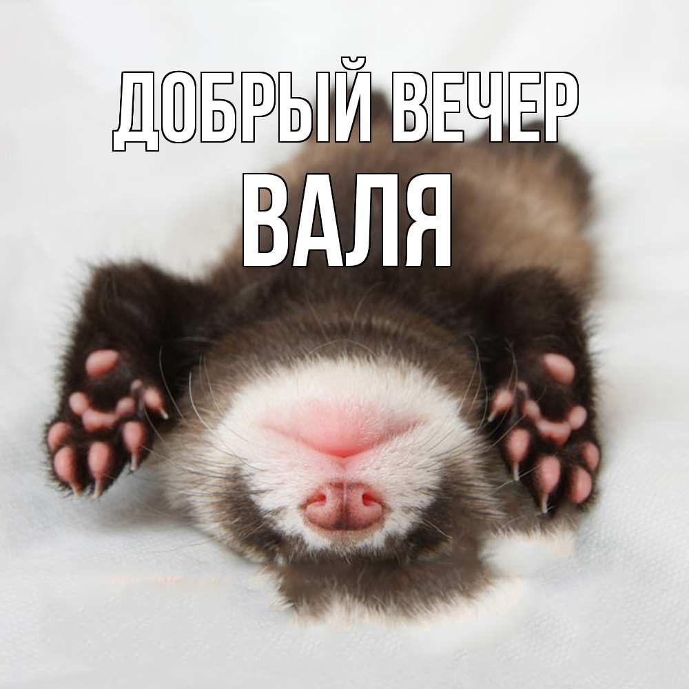 Открытка  с именем. Валя, Добрый вечер  