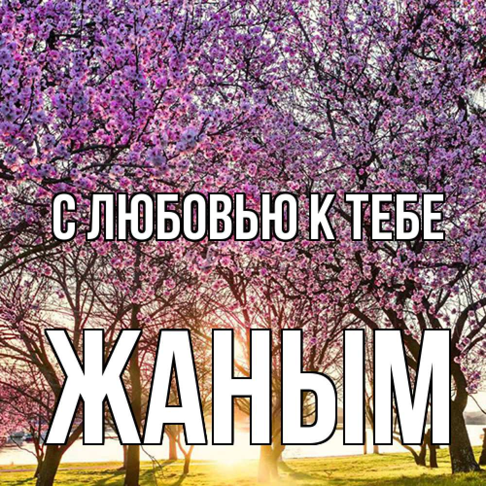 Открытка  с именем. Жаным, С любовью к тебе  