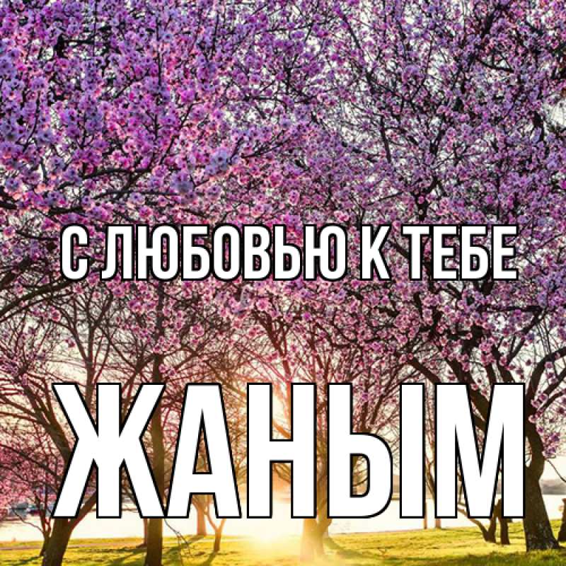 Картинка С любовью к тебе, Жаным