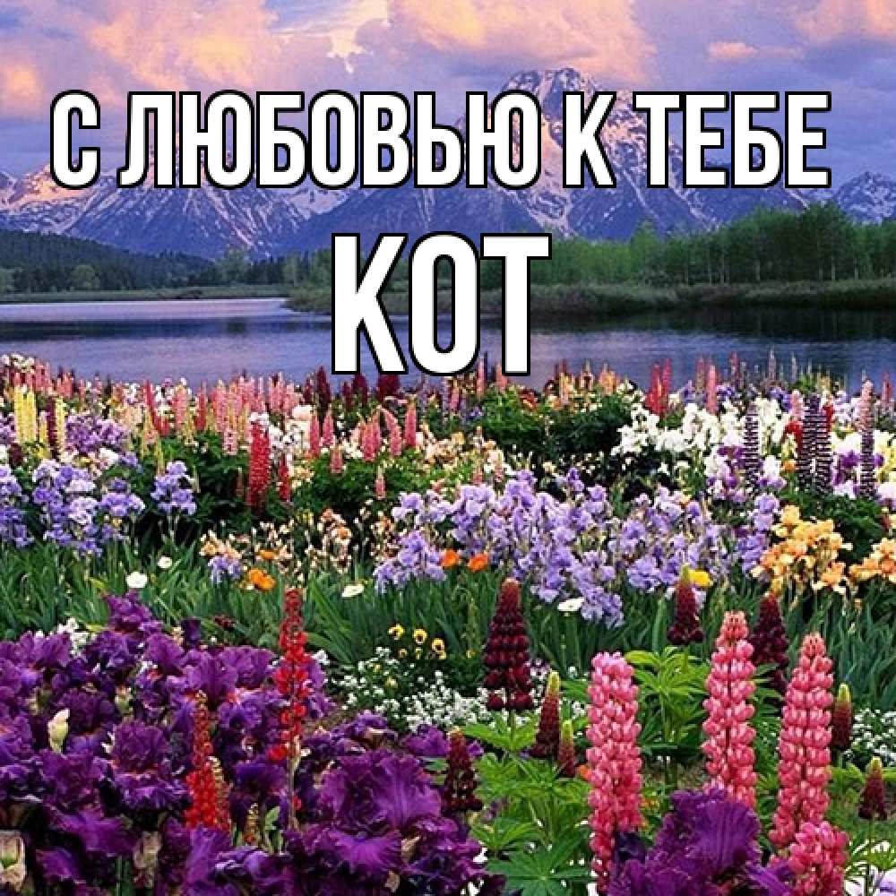 Открытка  с именем. КОТ, С любовью к тебе  