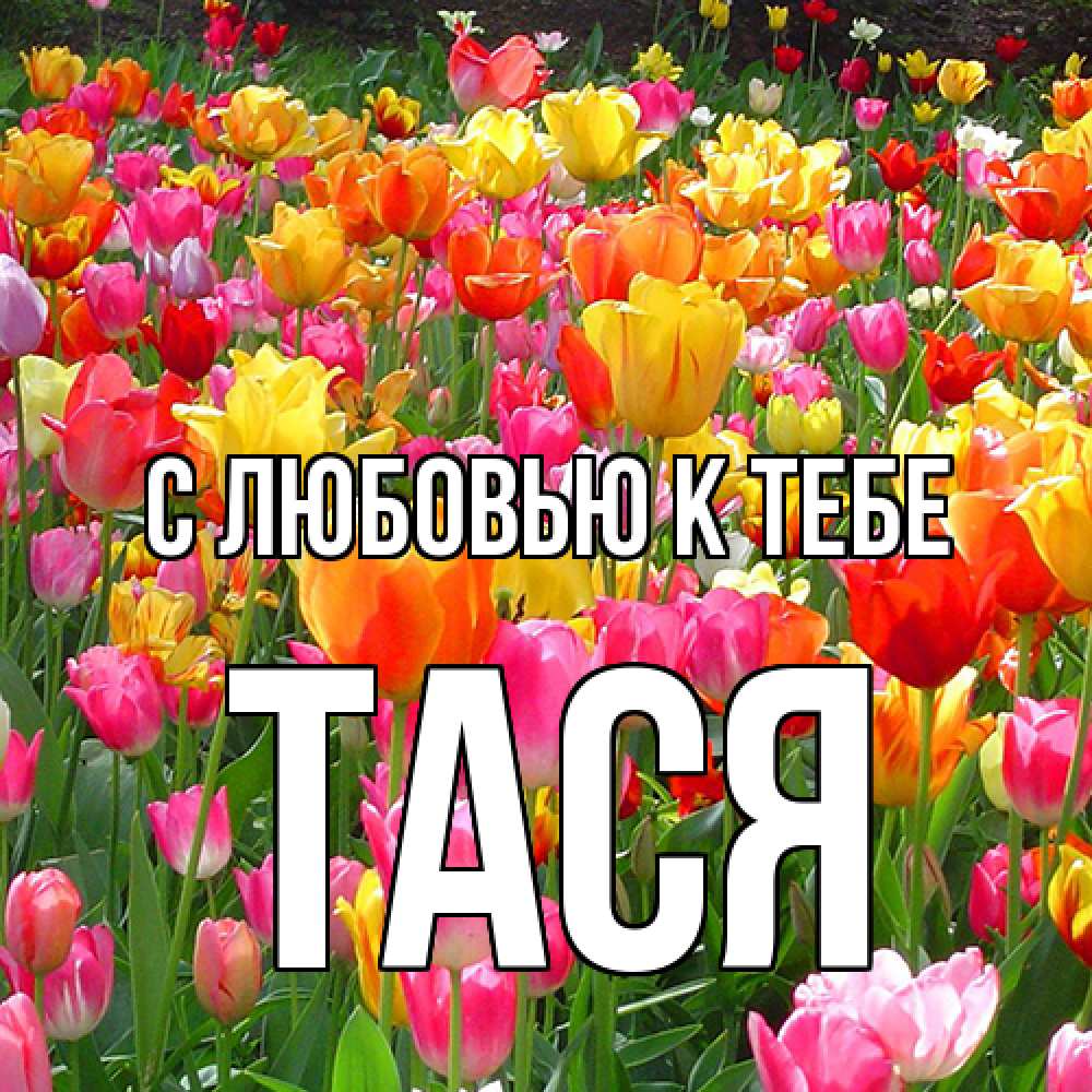 Открытка  с именем. Тася, С любовью к тебе  