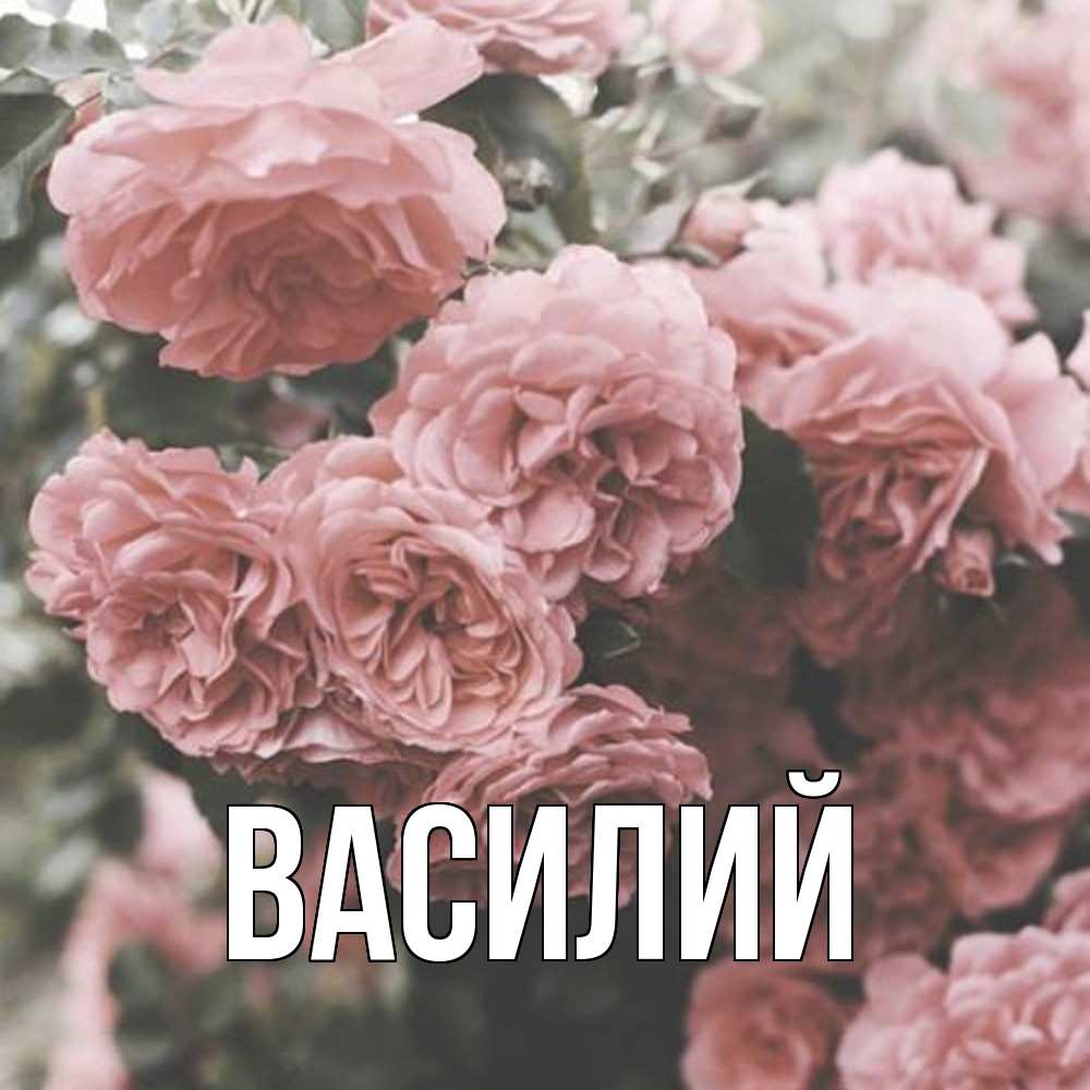 Открытка  с именем. Василий, Главная  