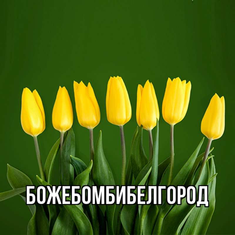 Открытка с именем, божебомбибелгород, 