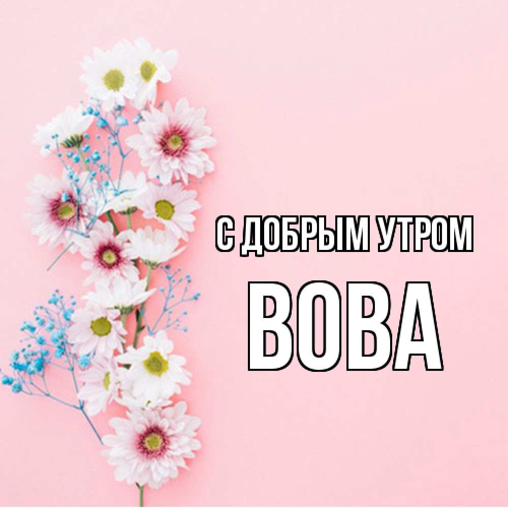 Открытка  с именем. Вова, С добрым утром  