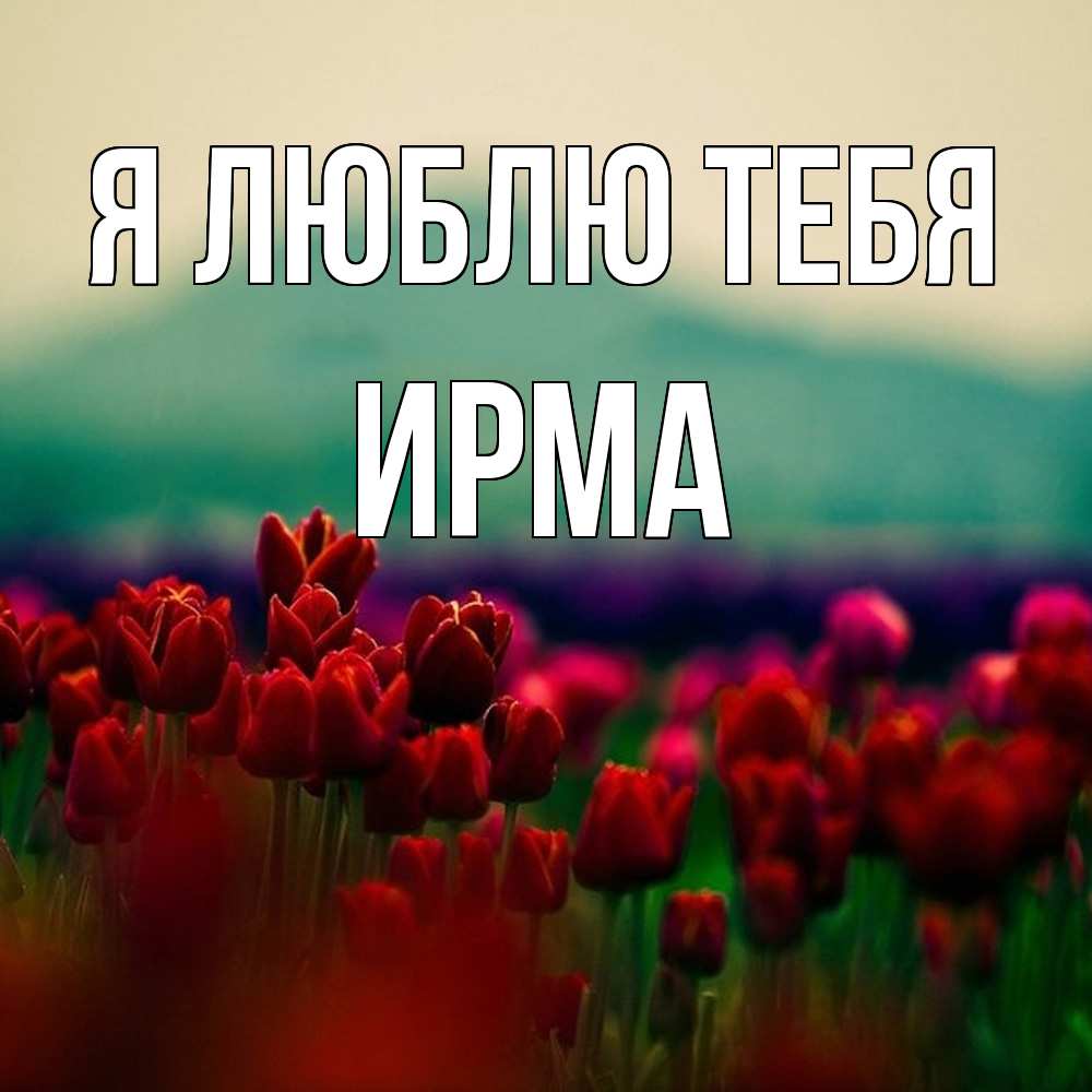 Открытка  с именем. Ирма, Я люблю тебя  
