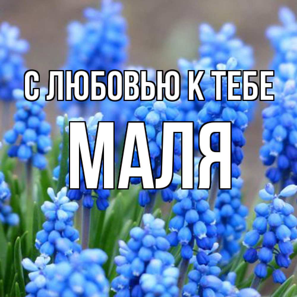 Открытка  с именем. Маля, С любовью к тебе  