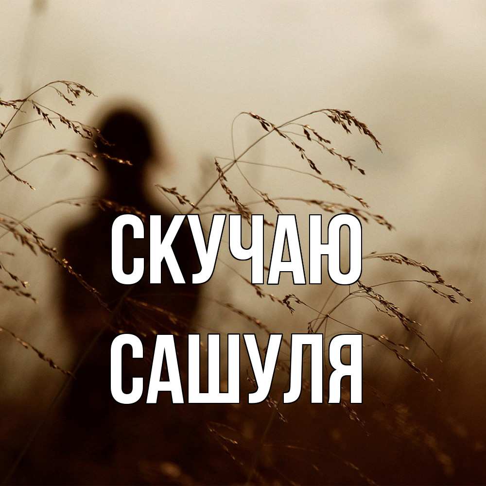 Открытка  с именем. Сашуля, Скучаю  