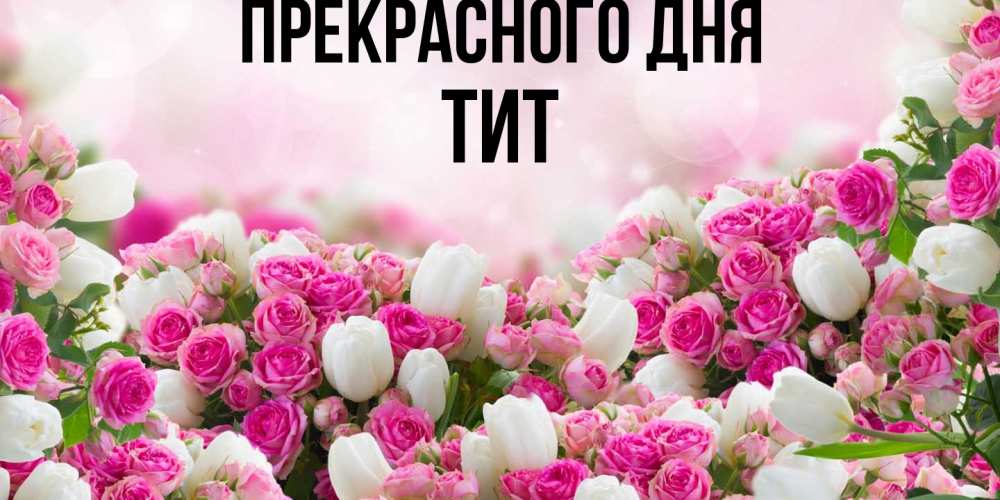 Открытка  с именем. Тит, Прекрасного дня  