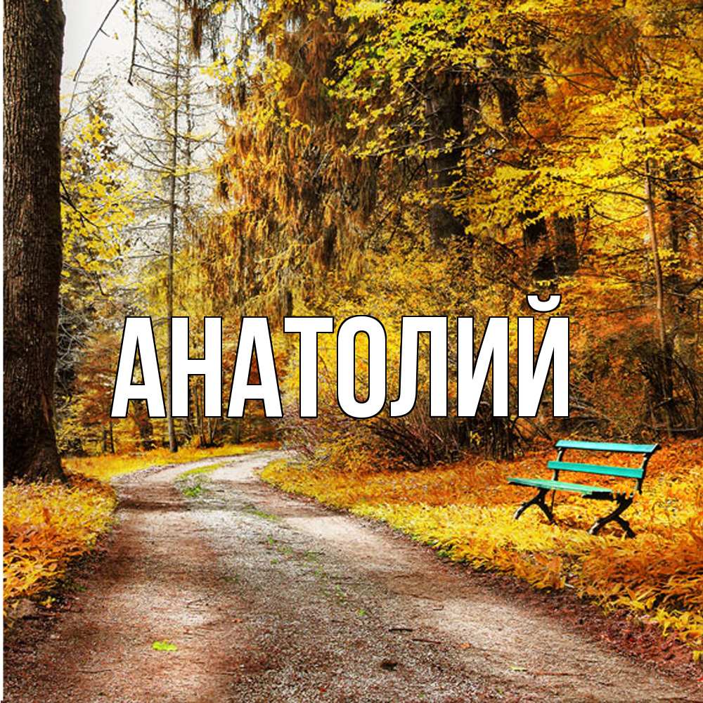 Открытка  с именем. Анатолий, Главная  