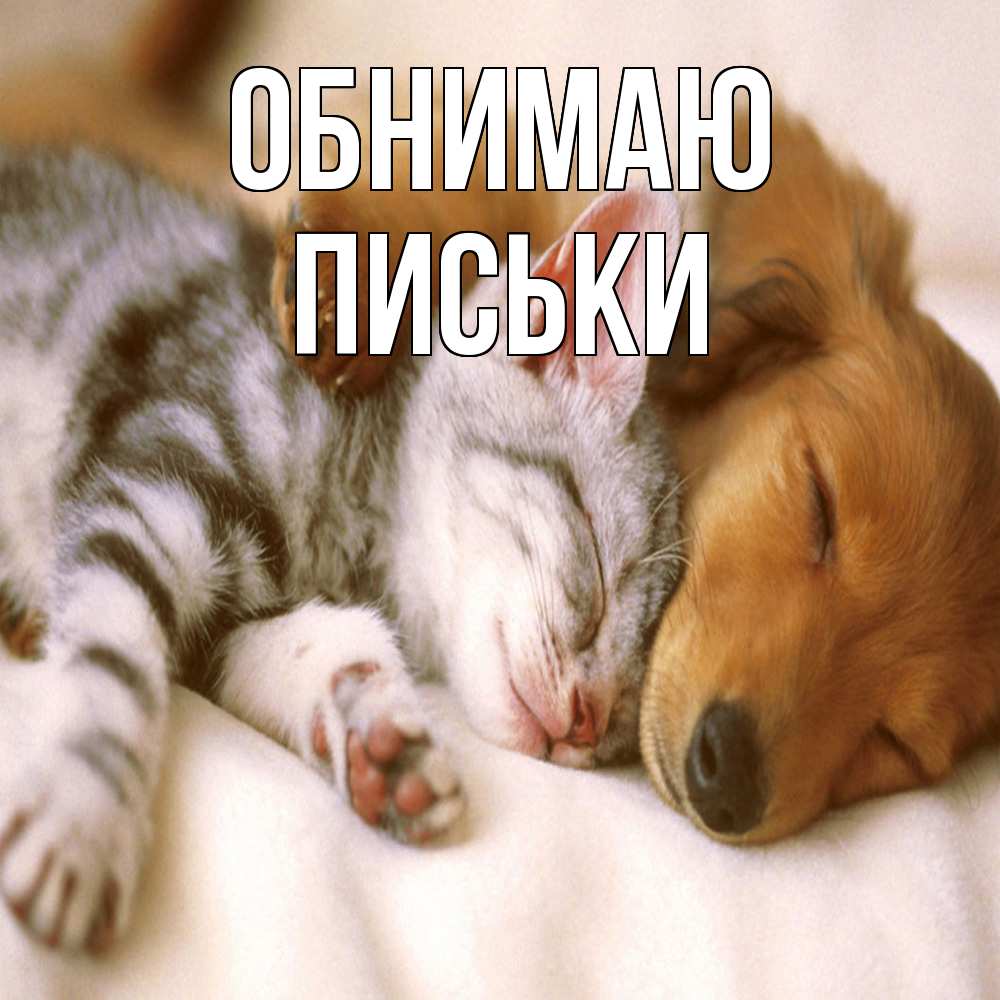Открытка  с именем. Письки, Обнимаю  