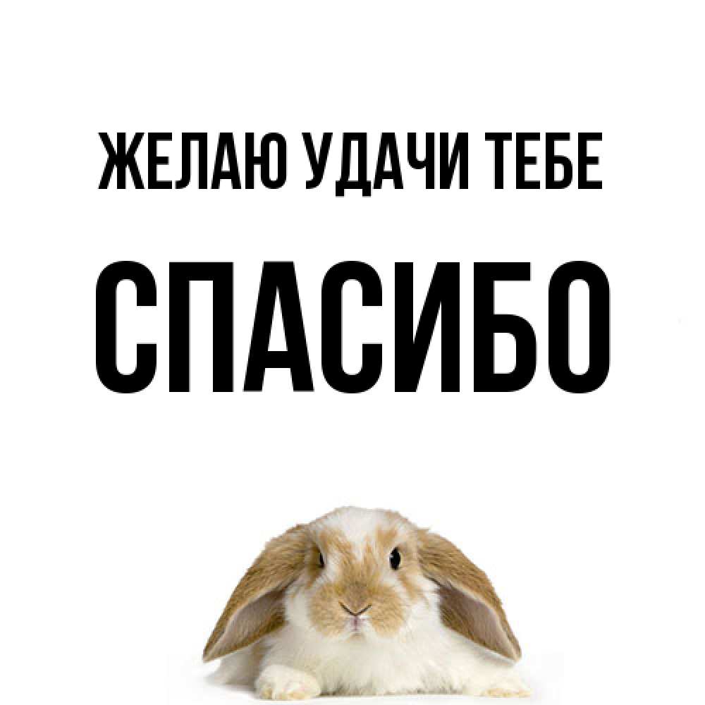 Открытка  с именем. спасибо, Желаю удачи тебе  