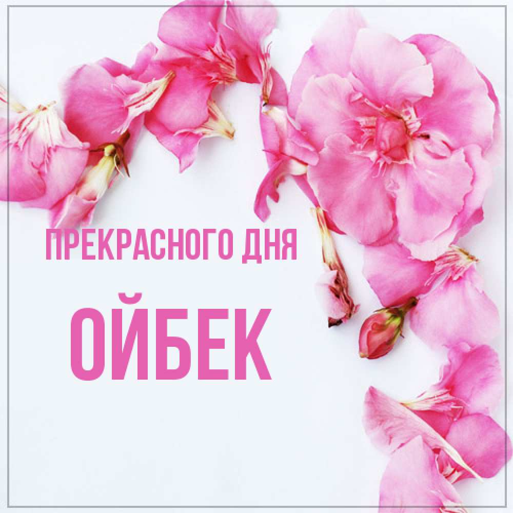 Открытка  с именем. Ойбек, Прекрасного дня  