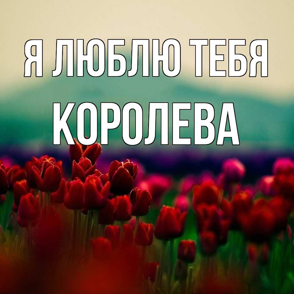 Открытка  с именем. Королева, Я люблю тебя  