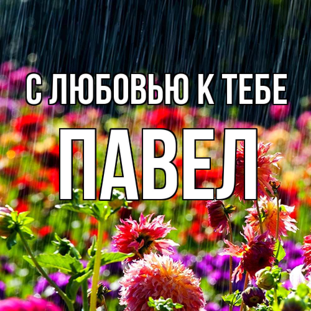 Открытка  с именем. Павел, С любовью к тебе  
