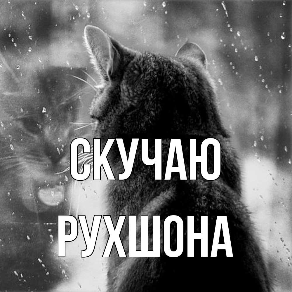 Открытка  с именем. Рухшона, Скучаю  