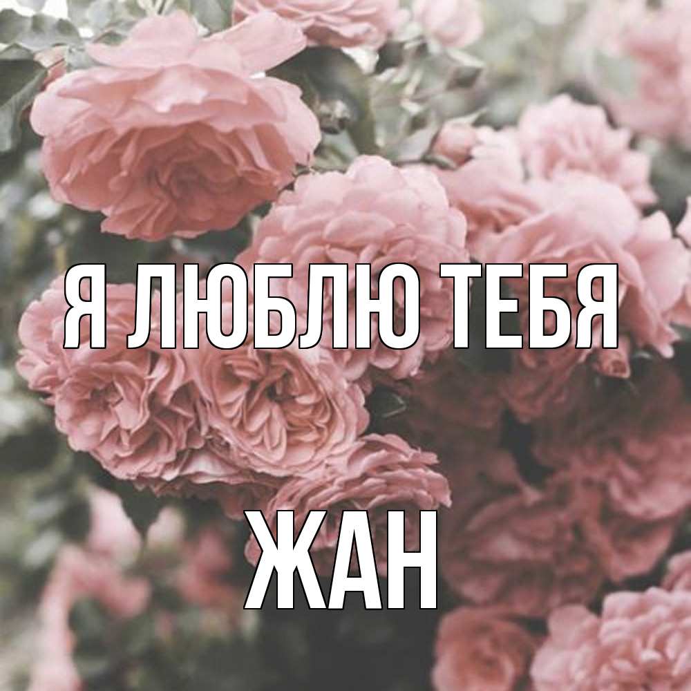 Открытка  с именем. Жан, Я люблю тебя  