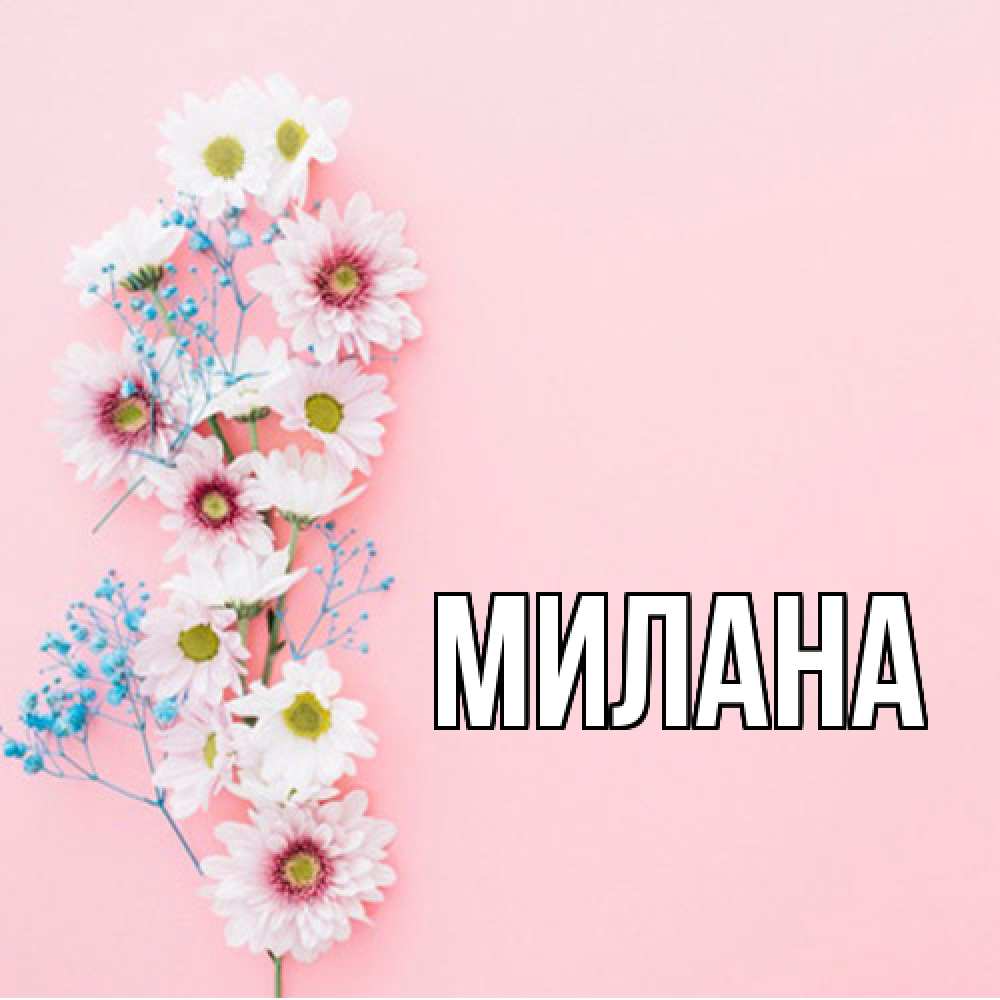 Открытка  с именем. Милана, Главная  