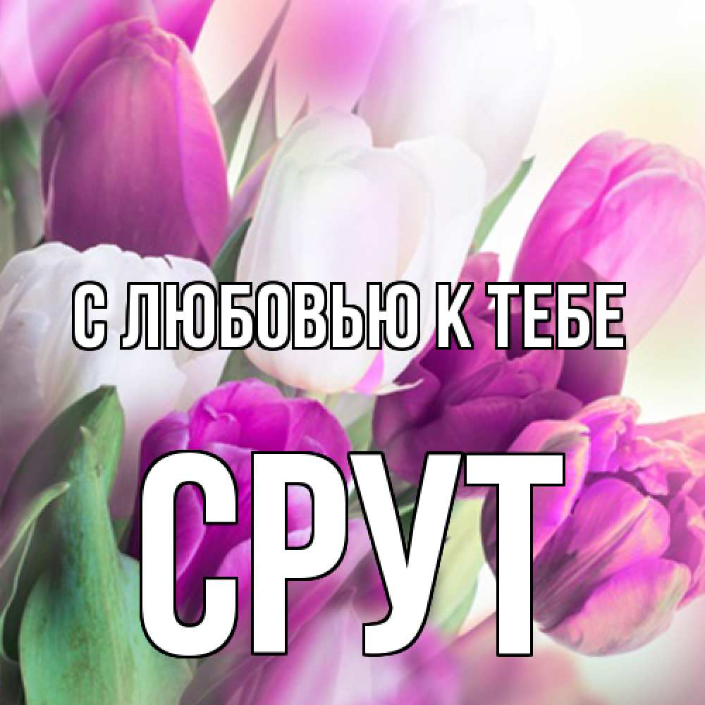 Открытка  с именем. срут, С любовью к тебе  